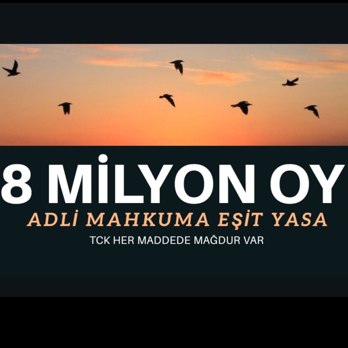 goksel_sevcan's tweet photo. @dbdevletbahceli Türkmen beyi bizler de vatanseveriz ülkemiz e karşı yapılacak her türlü teröre karşı çıkar ne gerekiyorsa yaparız 
Ama sizler yeni Türkiye için bir adım atın vatan haini olmayan #AdliMahkumaEsitYasa #denetimliserbestlik3yıl bu ülkenin gerçeği 
Gençler cezaevinde curuyor https://t.co/3rwDfSQA79