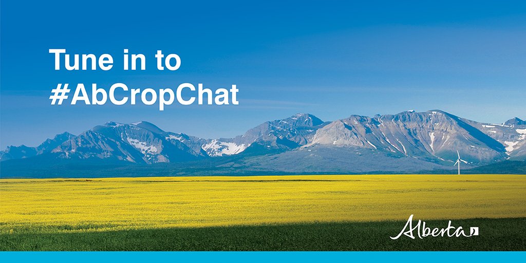 It's #AbCropChat time! Send your crop questions to us, and our experts will answer them! #AbAg