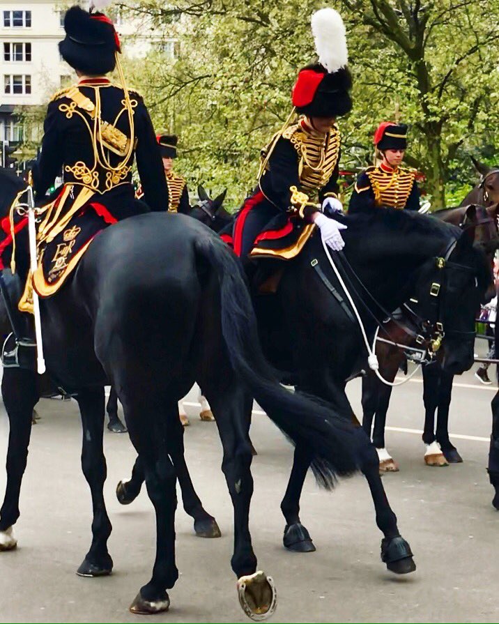 Sarah Reygate tweet media