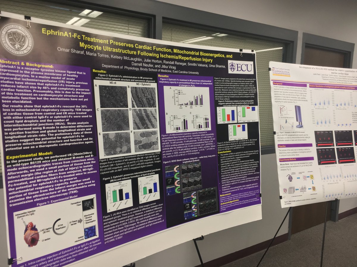 ECUResearch's tweet photo. .@EastCarolina faculty and staff are honoring @JitkaVirag today after she won the #2018STATMadnessChallenge. Congrats on all of your hard work Dr. Virag! https://t.co/mIKCfZVgnk