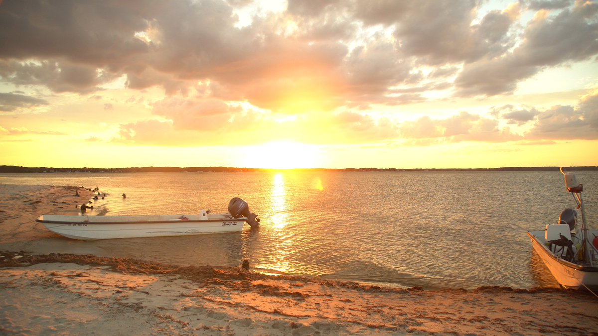 CHEFS A' FIELD: GOOD CATCH (@chefsafield) on Twitter photo Saturday’s airing of Good Catch are back-to-back episodes featuring:
3pm Whitestone Oysters w/Chef Jeremiah Langhorne
3:30 Maryland Blue Crab w/Chef Spike Gjerde
4pm Snakehead & Blue Catfish w/Chef Jen Carroll
<a href="/ChefJenCarroll/">JENNIFER CARROLL</a> <a href="/jjlanghorne/">JJLanghorneTheDabney</a> <a href="/spikegjerde/">Spike Gjerde</a> <a href="/WSOysters/">White Stone Oysters</a> @conradscrabs Saturday’s airing of Good Catch are back-to-back episodes featuring:
3pm Whitestone Oysters w/Chef Jeremiah Langhorne
3:30 Maryland Blue Crab w/Chef Spike Gjerde
4pm Snakehead & Blue Catfish w/Chef Jen Carroll
<a href="/ChefJenCarroll/">JENNIFER CARROLL</a> <a href="/jjlanghorne/">JJLanghorneTheDabney</a> <a href="/spikegjerde/">Spike Gjerde</a> <a href="/WSOysters/">White Stone Oysters</a> @conradscrabs