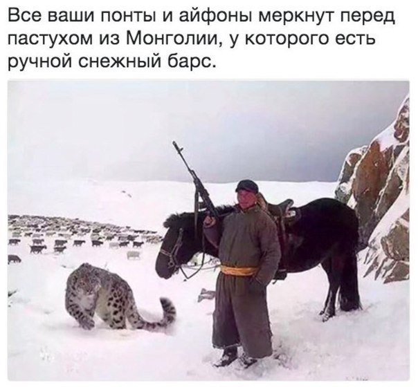 Alex_Twee's tweet photo. #facts #факт https://t.co/X1spfCUmnq