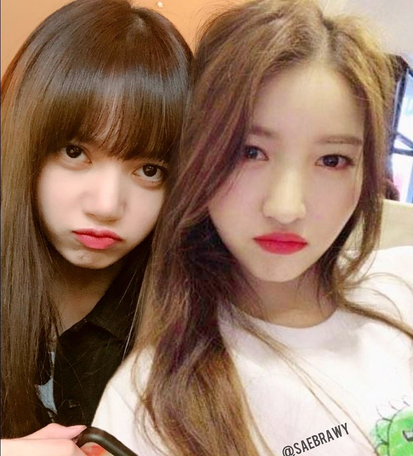 saebrawy's tweet photo. #gfriend #sowon ; #blackpink #lisa https://t.co/4YkOgVprq7