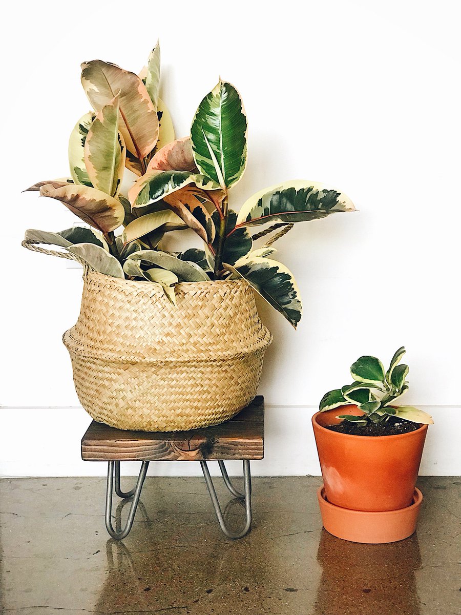 New product in my shop 🌿 etsy.me/2DIxQGE