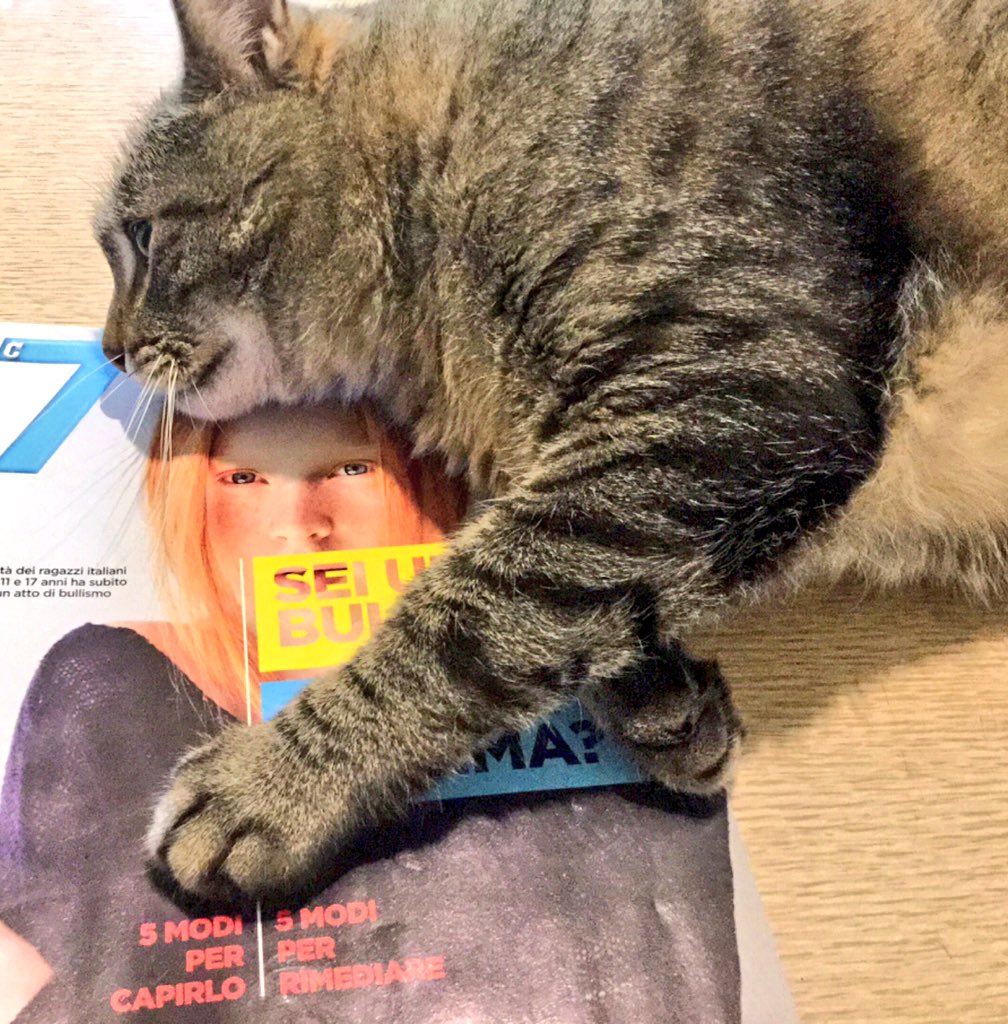 BrufoloBill's tweet photo. #ioleggo7🐱📰 #27aprile Happy birthday🎉🎁🎂 #unannoper71⃣"Se vuoi il posto migliore della casa devi spostare il gatto"🐈 https://t.co/6jFZgTfpmZ