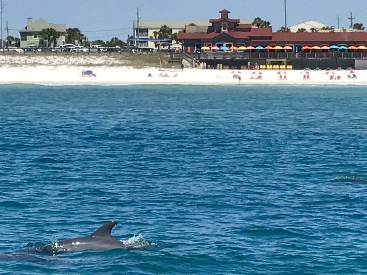 ParasailNOW's tweet photo. Open for #Parasailing this Wednesday and Friday 850-438-5555 @SoWalBeaches @destinflorida @miramarbeaches @RentWaverunners @GoParasailing https://t.co/lCk9eCEkWZ