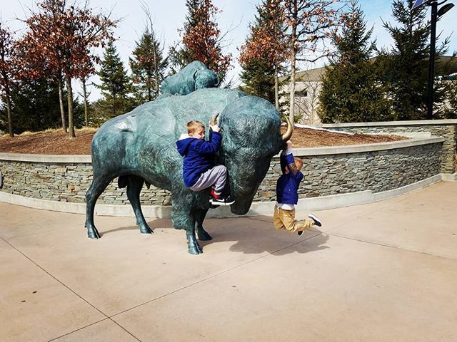 jillreed_'s tweet image. Hangin'. #Zoo #MNZoo #HangingOut #Spring