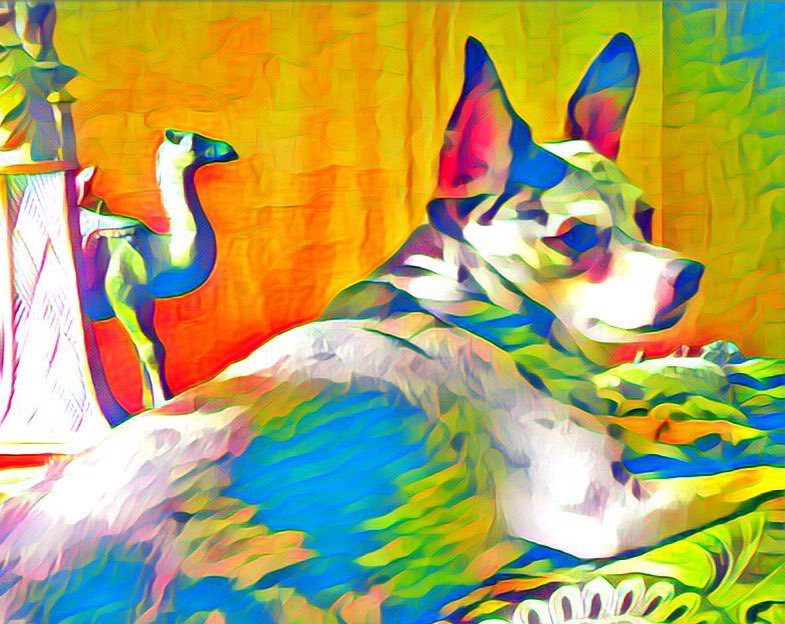 lifewithmorten's tweet photo. #art #happiness #lifestyle 😎🐪🌴 https://t.co/qXGgkELLdk
