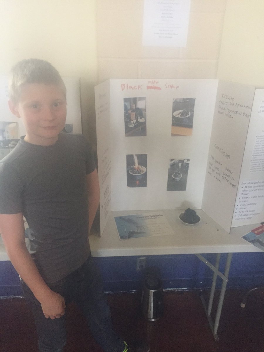 GilmanCityHS's tweet photo. @GilmanCityHS The Little Hawks Basketball Game, Art Show, and Science Fair was full swing tonight. Thanks for all the community support! https://t.co/R3c8wtLa5p
