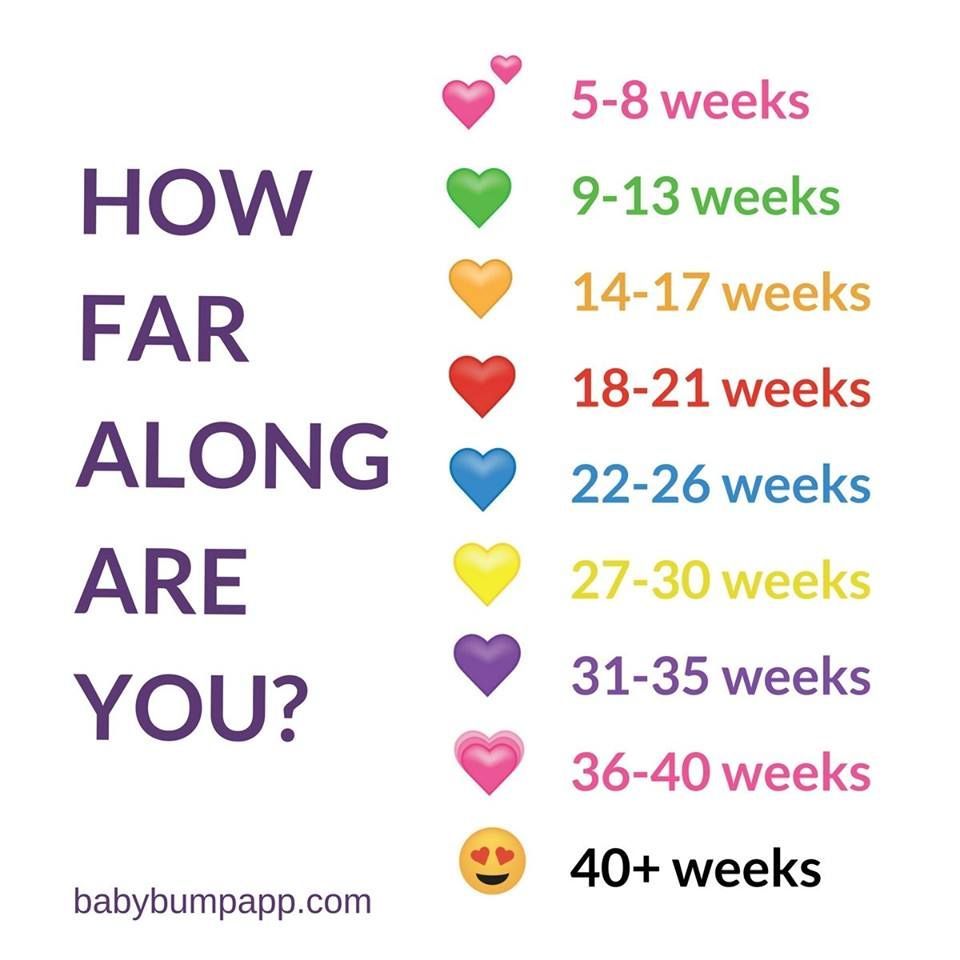 Baby Bump tweet media