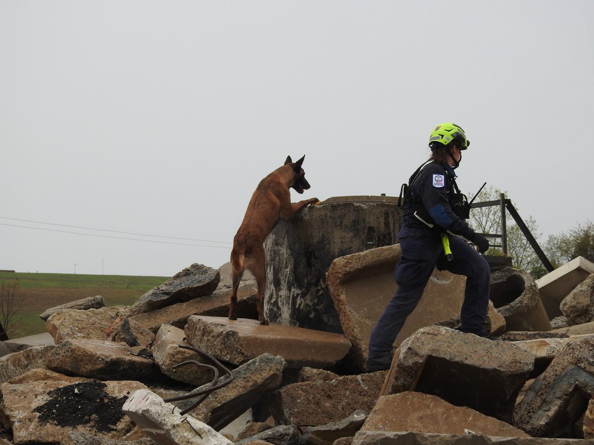 VATF1's tweet photo. Our #canines are a great tool for searching in rubble. Ivan, along with his handler and a spotter, makes quick work of locating trapped victims in a debris pile during our exercise. #k9 #canine #ofdaQuakeExercise #usar #SearchandRescueDogs #SearchAndRescue https://t.co/Sf6xGJWfff