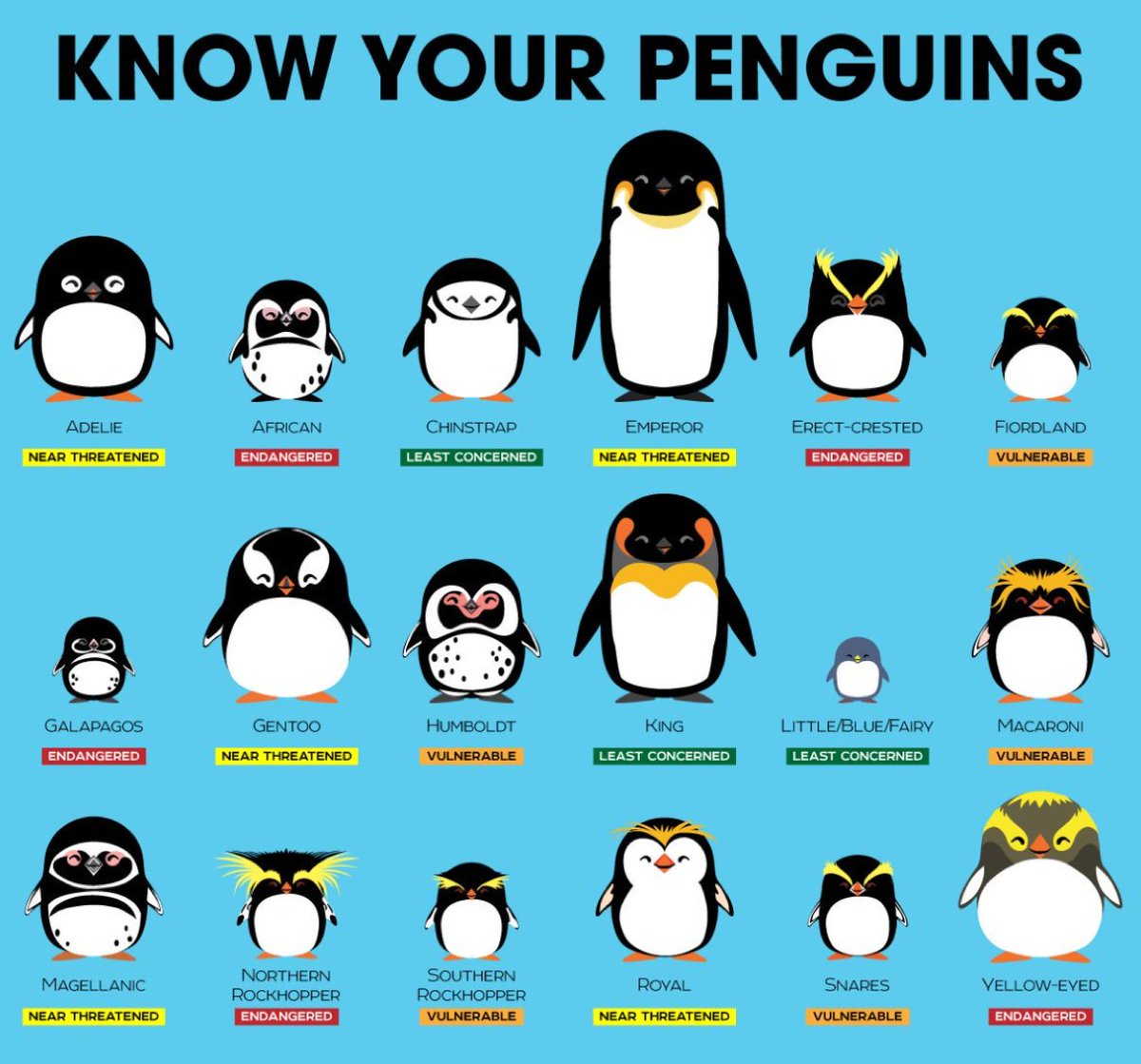 The Antarctic Report (@antarcticreport) on Twitter photo Happy World Penguin Day! Know your penguins! 18 different species, all found in the Southern Hemisphere, though the Galapagos lives on the Equator. The Emperor is the tallest at more than 1m. Many are threatened or endangered #WorldPenguinDay #penguins pic <a href="/PepomintNarwhal/">Peppermint Narwhal</a> Happy World Penguin Day! Know your penguins! 18 different species, all found in the Southern Hemisphere, though the Galapagos lives on the Equator. The Emperor is the tallest at more than 1m. Many are threatened or endangered #WorldPenguinDay #penguins pic <a href="/PepomintNarwhal/">Peppermint Narwhal</a>