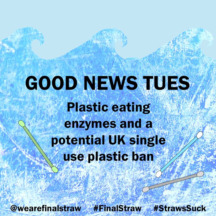 Final Straw UK tweet media