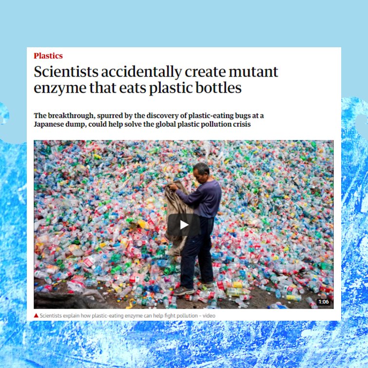 Final Straw UK tweet media