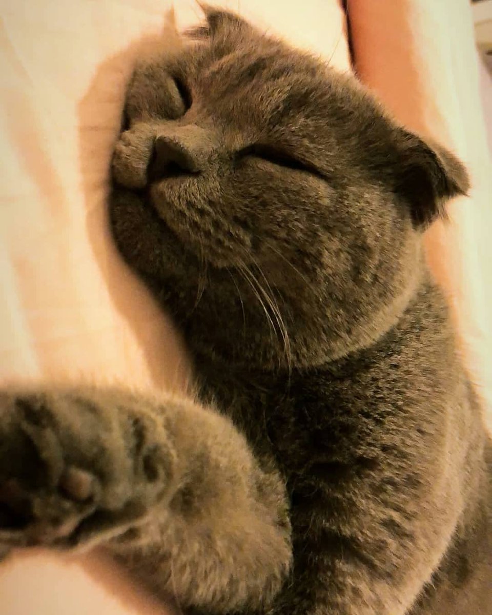 Burcu Özberk instagram stories'de yeni bir fotoğraf paylaştı. // Burcu Özberk shared a new photo on instagram-story. #BurcuÖzberk <a href="/burcu_ozberk/">Burcu Özberk</a>