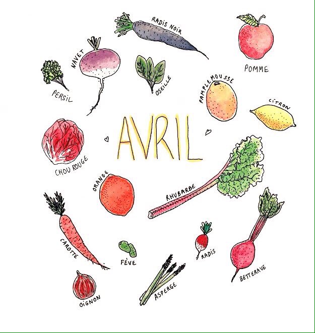 Légumes de saison . Avril 
👩🏻‍🌾🥕🌿🍎🥕🌿🍎👨🏻‍🌾 #legumes #legumesdesaison #agricultureraisonnee #locavore  #produitduterroir #producteur #gastronomie #chefs 👩🏼‍🍳👨‍🍳#madeinFrance 🐓🇫🇷 #gourmet #Foodie #Food #epureepiceriebotanique