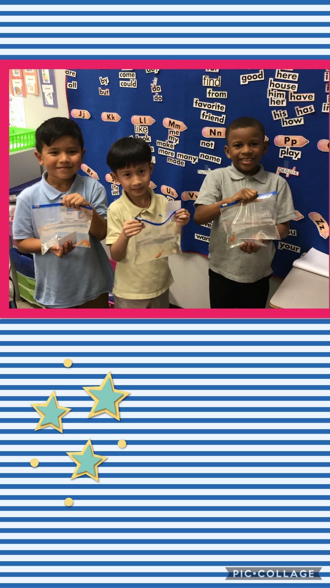 Sibleys1stgrade's tweet photo. Our classroom goldfish have new homes.  Thank you parents for letting your students adopt them! @HicksTigers https://t.co/eZYO0Hsx6Z