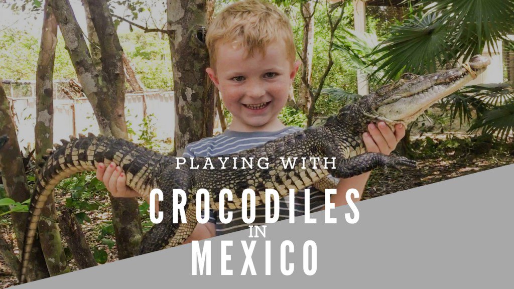 Bring_The_Kids's tweet photo. A Great (and CHEAP) Alternative to Croco Cun Mexico https://t.co/Ts9ReQdOZe https://t.co/TA7w50cSHy