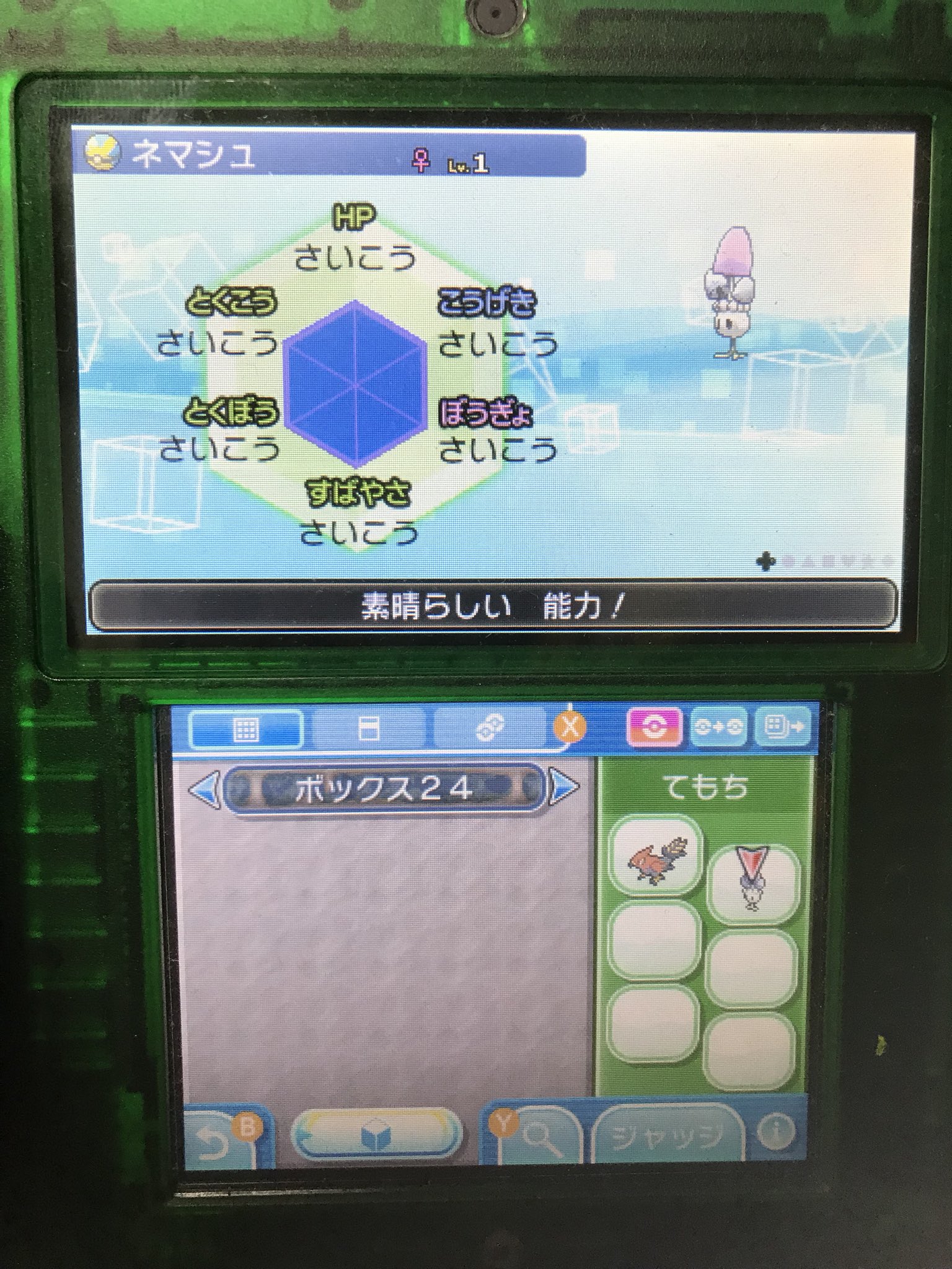 ポケモン6v記録 Twitter