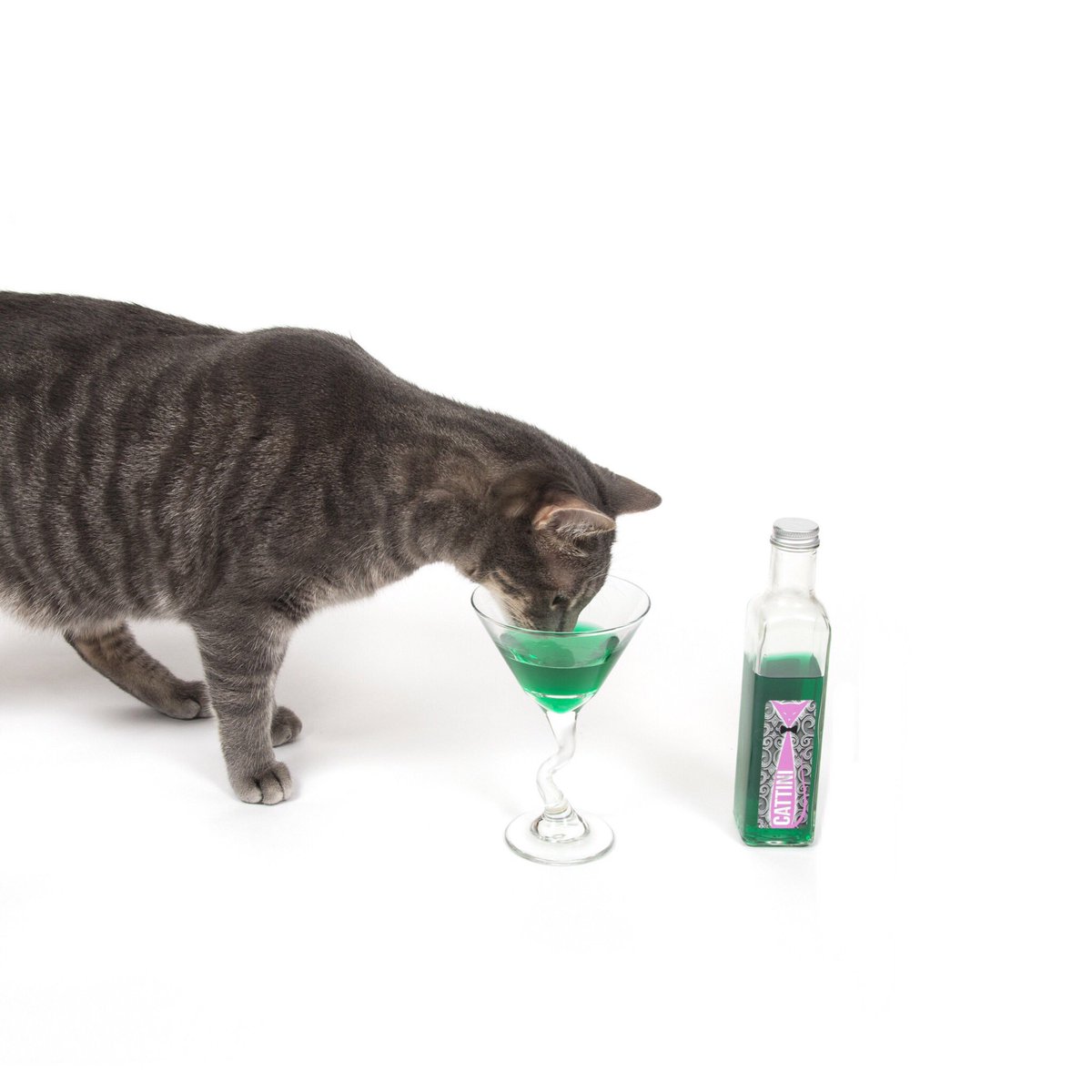 petwinery's tweet photo. Have a kitty who doesn’t respond to catnip? Try our #CatTini, made with valerian root which provides a similar buzz!
https://t.co/ibFwa9XCZ8 - Guaranteed next business day shipping https://t.co/YtILBjh54Q