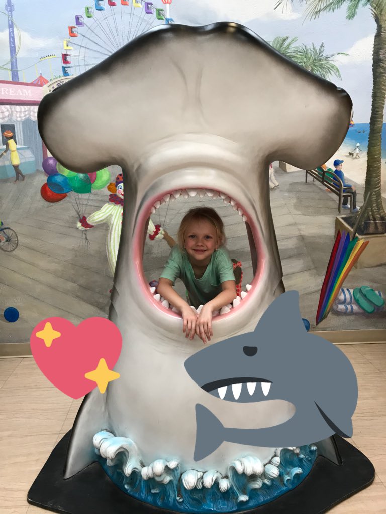 BrickLovesBooks's tweet photo. It makes my heart happy 😍 seeing so many kids excited and enjoying the #GreensboroScienceCenter today. #younginquiringminds #educationalfieldtrips are awesome! 🦈 https://t.co/1Q885HF3El