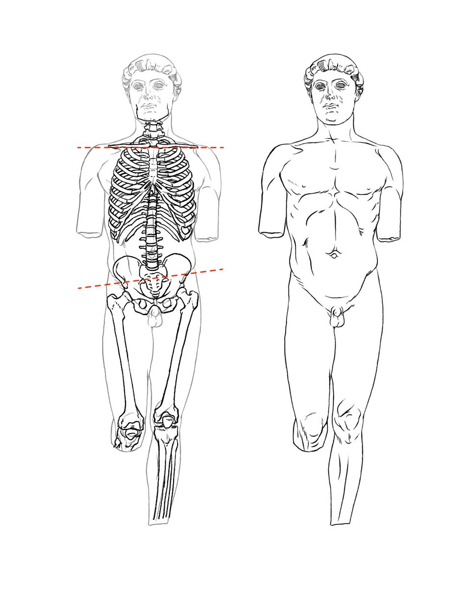 片足重心の最古の像の一つ、『クリティオスの少年』(前480年ごろ)。片足重心では、骨盤と肩の傾斜が反対になるが、この像は骨盤の傾斜が肩にほとんど影響していない。以前モデルさんに同じポーズを取ってもらったら一応出来た。 