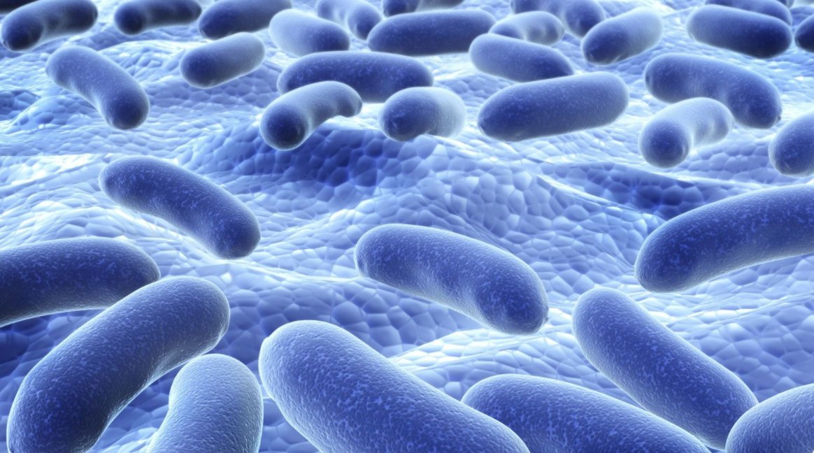 MatriSys Bioscience tweet media