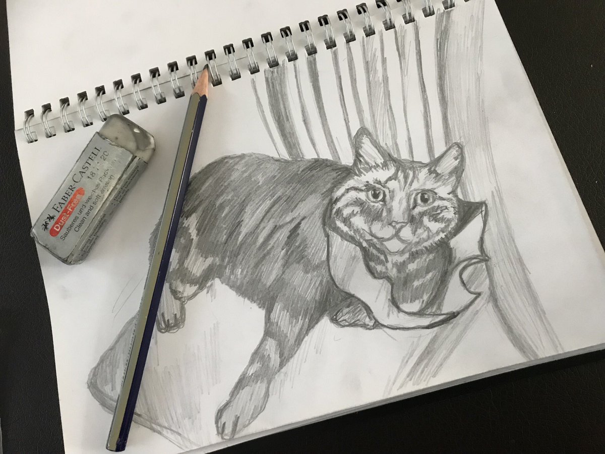LibbyMulligan's tweet photo. Someone hire me as an actor soon, I finished my last show 2 weeks ago and I’m so bored.... I’ve started learning the ukele and can’t stop drawing cats please cast me soon! #casting #castme #actress #actorlife #needtoact #drawing #ukele #musician #hireme #imgreat https://t.co/ddkRFcnNli