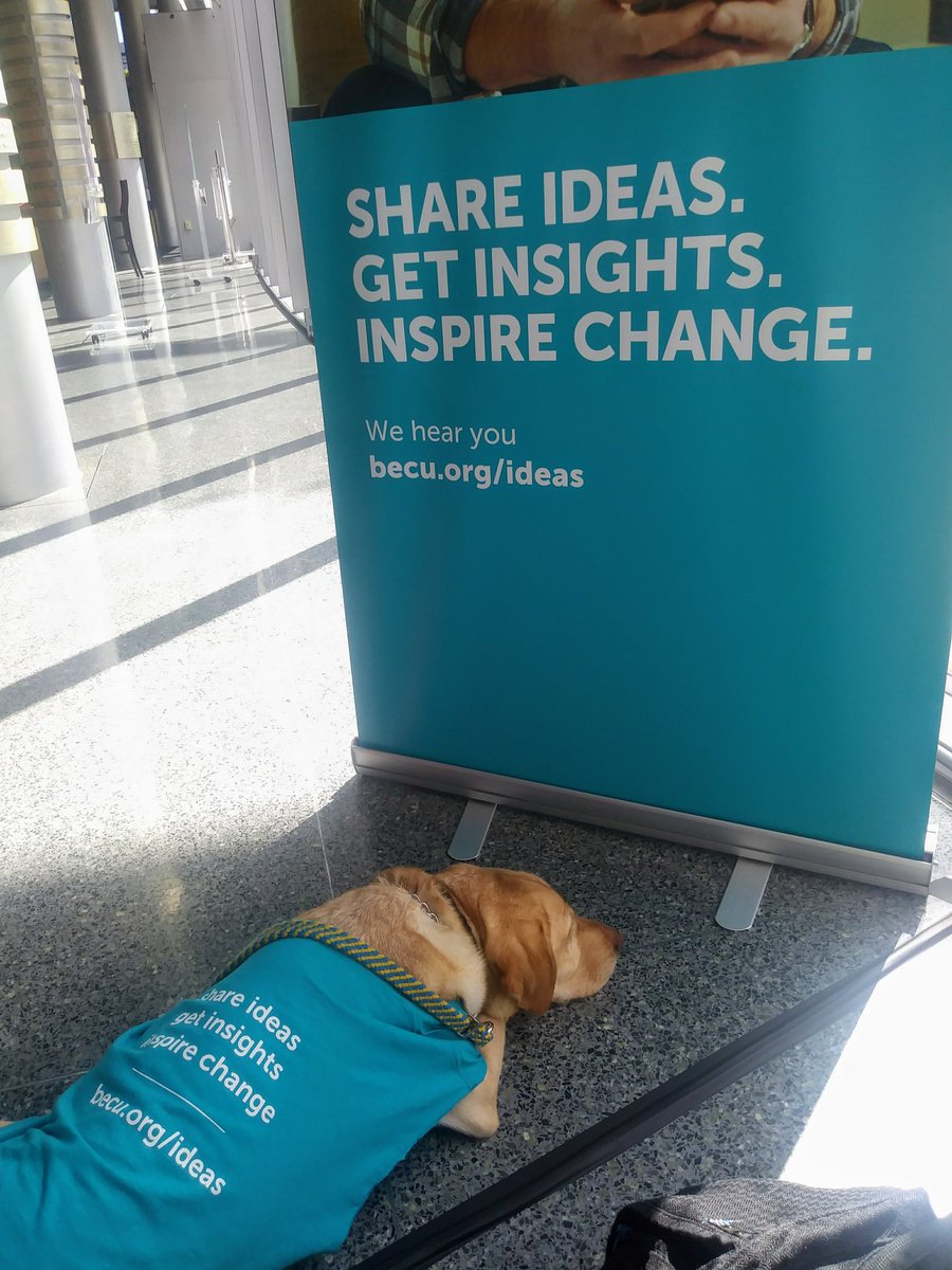 DeMiloTheDog's tweet photo. Resting up before the members are here! #BECUMemberSummit @BECU Join our online community, the MIX, https://t.co/0tSLcGChcm and come by our booth to score some MIX member-exclusive headphones! See you there! #ccicanine #dogsofTwitter #DogWithAJob https://t.co/p8avEx3xTX https://t.co/3agVlSKllh