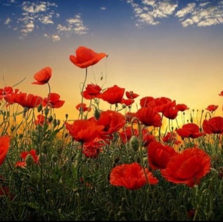 Leigh Provan tweet media