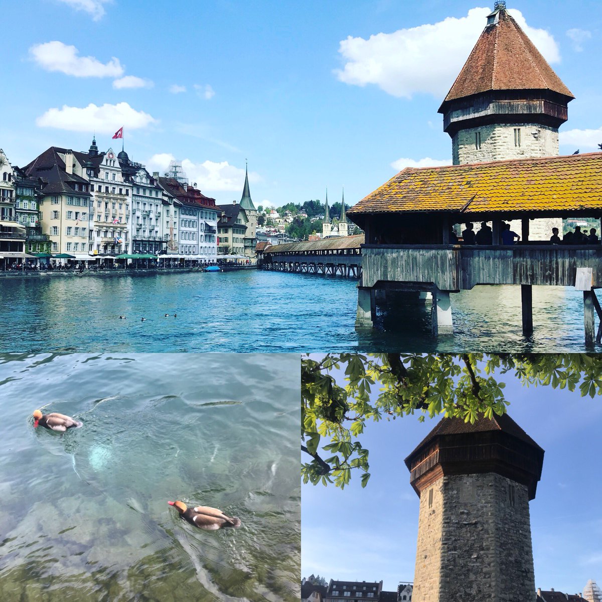 AshQuixote's tweet photo. #Luzern #Switzerland https://t.co/ORoeJMJG1Y