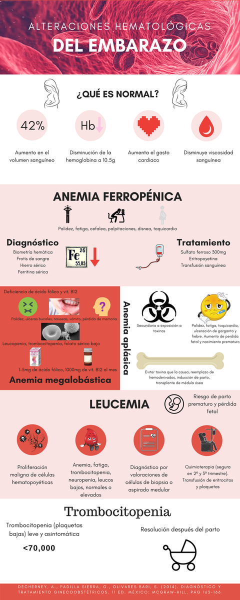 gustavorb13's tweet photo. El embarazo trae muchos cambios. Conoce algunos de ellos #medicina #ginecología #embarazo @abarcvs @udlap https://t.co/S0IOiMOZ2i