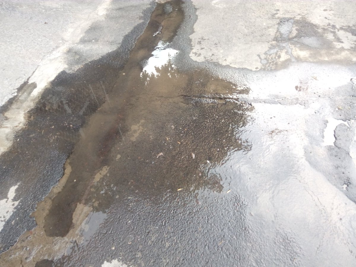 Edgar Hdz. Rangel tweet media