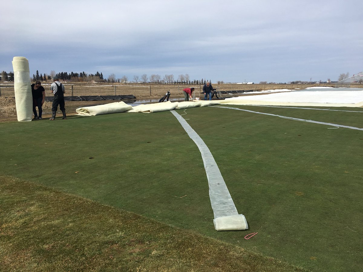 P_T_R_C_'s tweet photo. Tarps off today for our GreenJacket trial. Great sign spring has arrived. 😁@OldsCollege @GreenJacket_TC https://t.co/f4hgsrTM0X