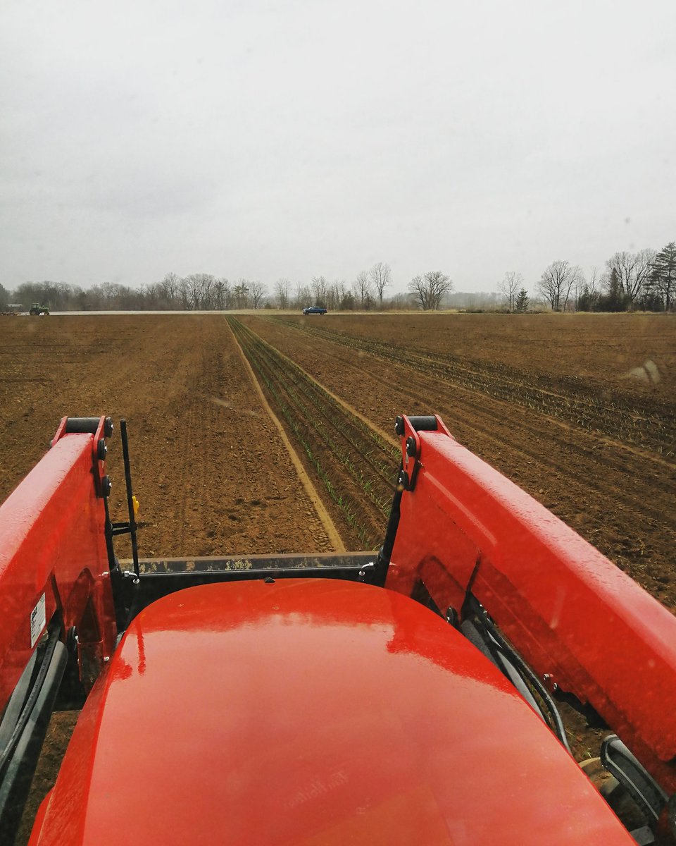 em08ma's tweet photo. Planting season has begun! 🚜🌱
#checkoutthoserows #gpsplanter
#leekonleekonleek #movingupintheworld #CanningProduceInc #farmerswife #tractorrides #babyleeks #themacdaviss https://t.co/d3Jlf7cz6n