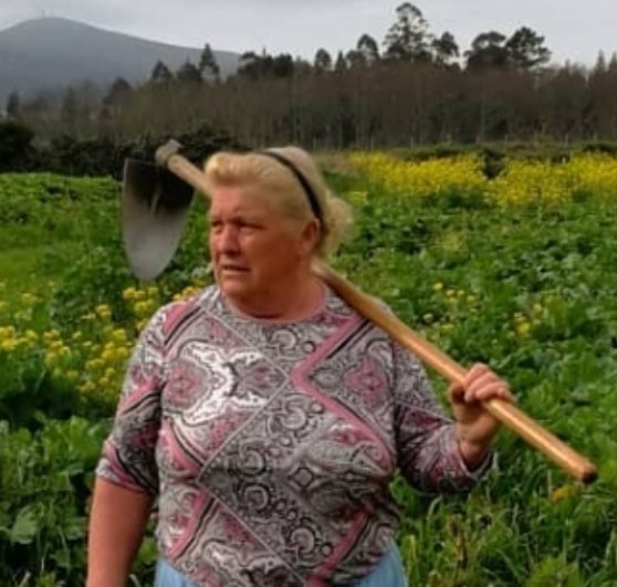 BrooklynDad_Defiant!☮️ tweet media