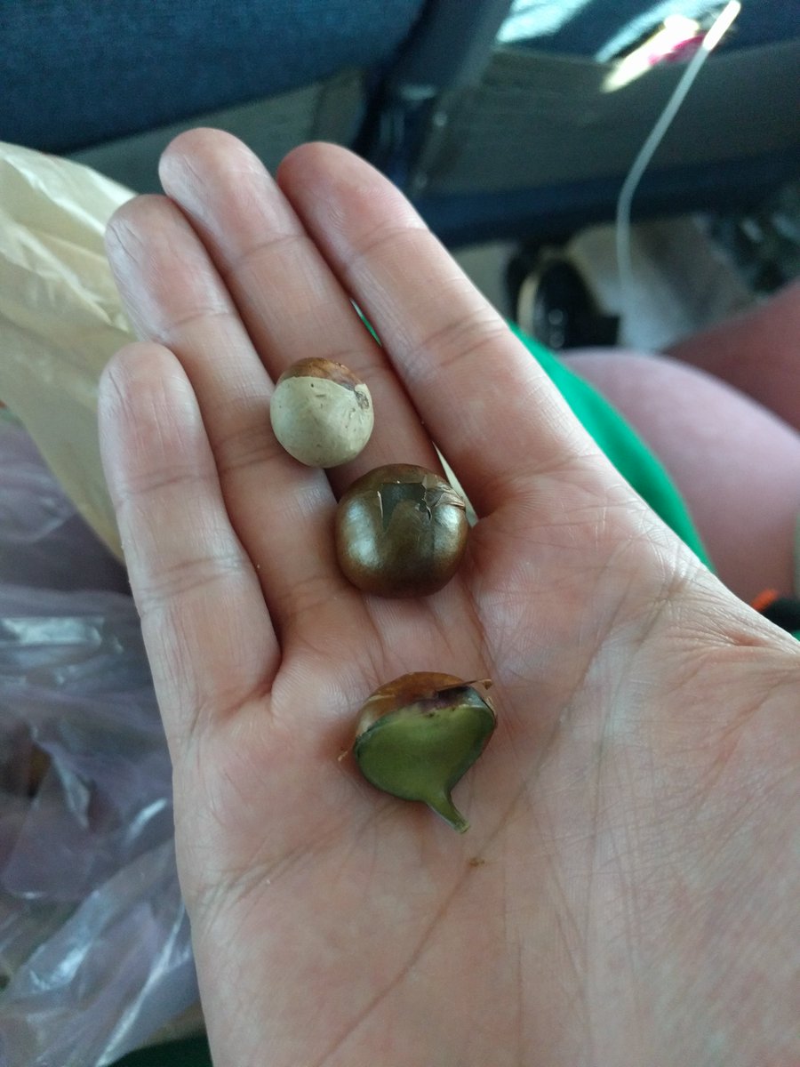 @vollkorn@chaos.social tweet media