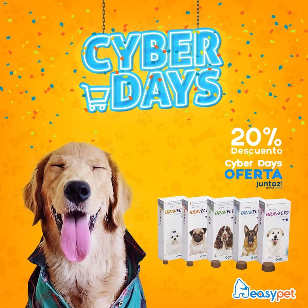easypet_'s tweet photo. 🎉¡Ya empezó el #CyberDays! 🖱️🏷️

Ingresa YA y disfruta de la promoción👇
https://t.co/b02cNXej7x https://t.co/TNwCetDxlQ
