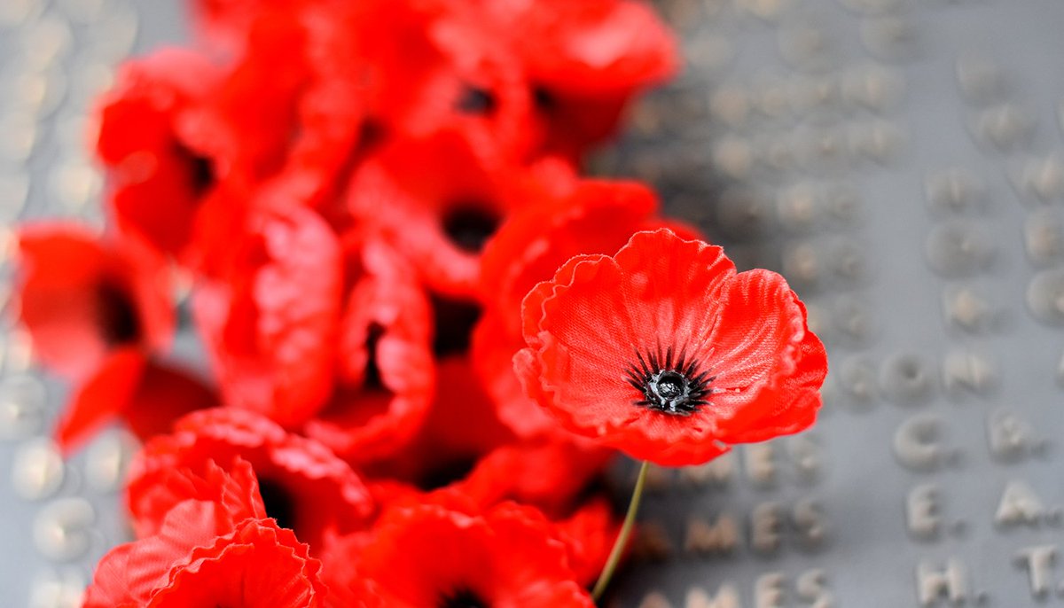 JANPRO_NZ's tweet photo. Lest we forget. #ANZACDay https://t.co/3lREF1v65M