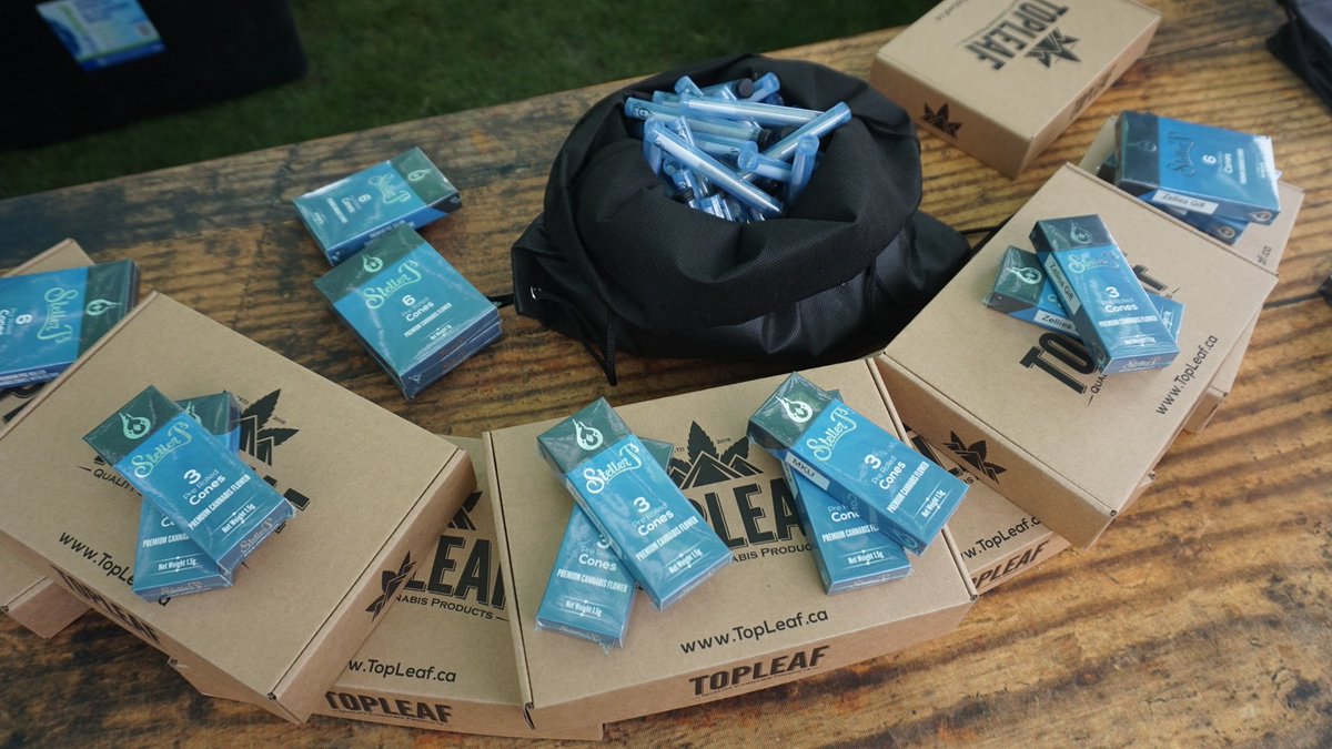 StellerJs's tweet photo. Did you happen to make it down to Vancouver's annual 420 protest and farmers market last week? We had a few birds flying around. ;) #FlyHigher #StellerJs https://t.co/fS9VayLIPJ