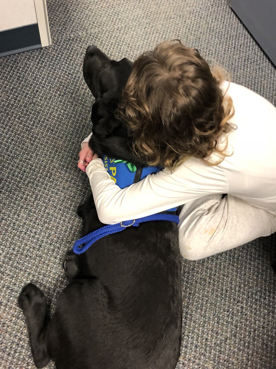 PADSk9Merlot's tweet photo. “Animals are like angels, they lift us up when we feel down.”~ April Peerless #facilitydog #workingdog #forensicchildinterview #pawsofstrength #policing #Merlot @reginapolice @PADSdogs https://t.co/2TdpY8tTWC