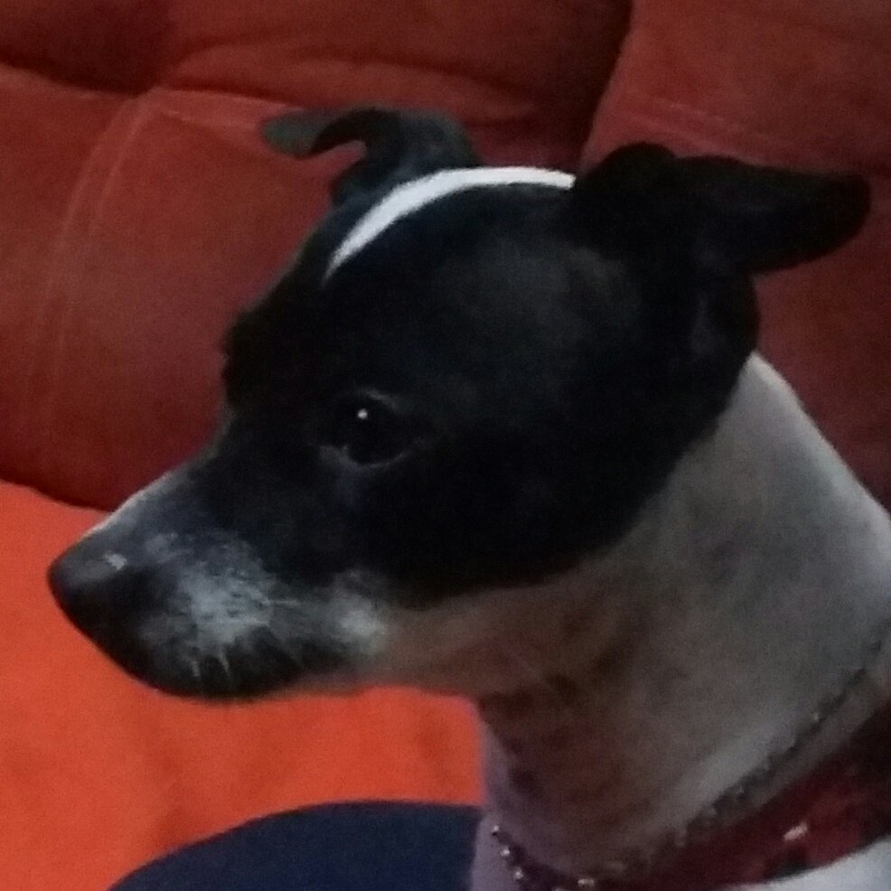 EdsonSebstian's tweet image. #NuevaFotoDePerfil