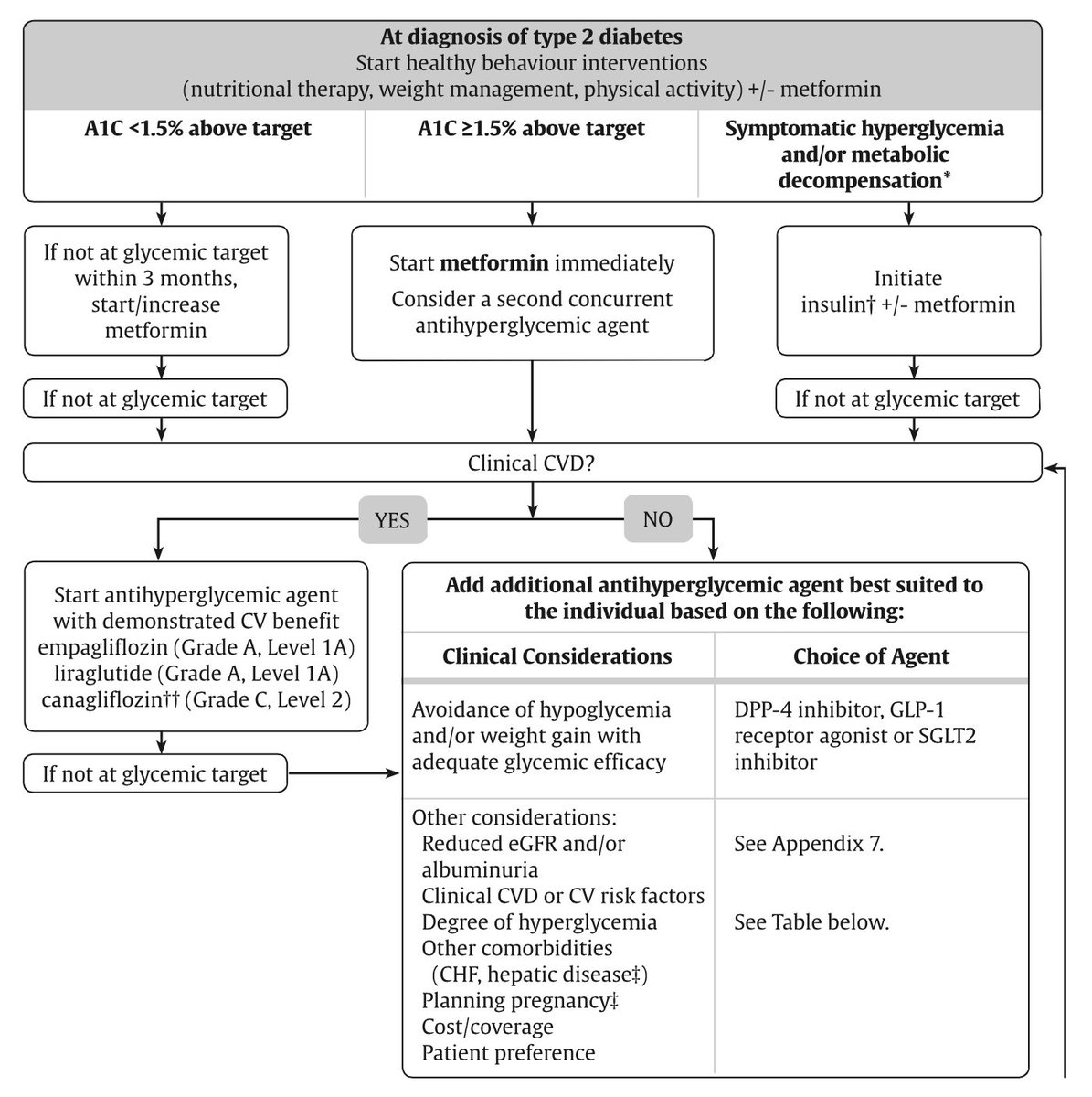 aqwertzu | Diabetes in children, Diabetes, Diabetes education