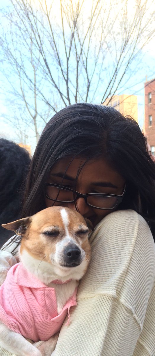 MUCobeenHall's tweet photo. How cute! Come celebrate the end of the CPC year with therapy dogs! https://t.co/vCshKCkMAu