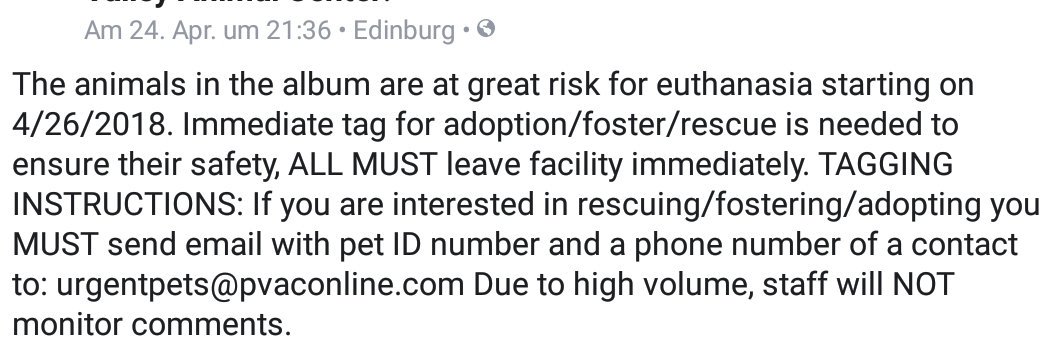 🆘️1YO HEALTHY BOY🆘️LOST HIS HOME🆘️MUST LEAVE IMMEDIATELY OR WILL BE KILLED 4/26💔 #dog
PLEASE SEE TEXT⤵️HOW YOU CAN HELP SAVE THIS PRECIOUS LIFE🙏&amp;ESCAPE #PalmValley #tx MURDERING💀#URGENT #RESCUE #FOSTERING #ADOPTION 
facebook.com/pvacurgentpets/