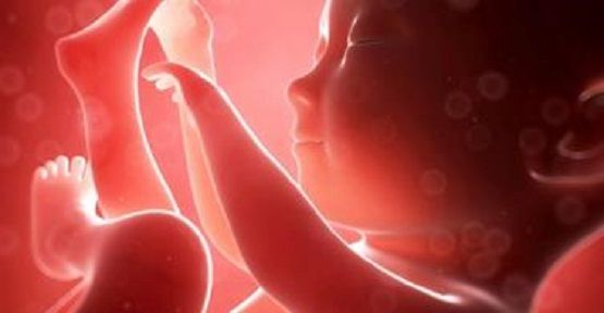 StevenErtelt's tweet photo. Courts Give Rivers “Human Rights” as Unborn Babies Die in Abortions https://t.co/SIlhhzzlNT #prolifegen #prolifewalkout https://t.co/xjJBun6UJA