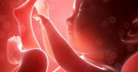 LifeNewsHQ's tweet photo. Courts Give Rivers “Human Rights” as Unborn Babies Die in Abortions https://t.co/4P8qY6FLJZ #prolifegen #prolifewalkout https://t.co/15092PUnVe