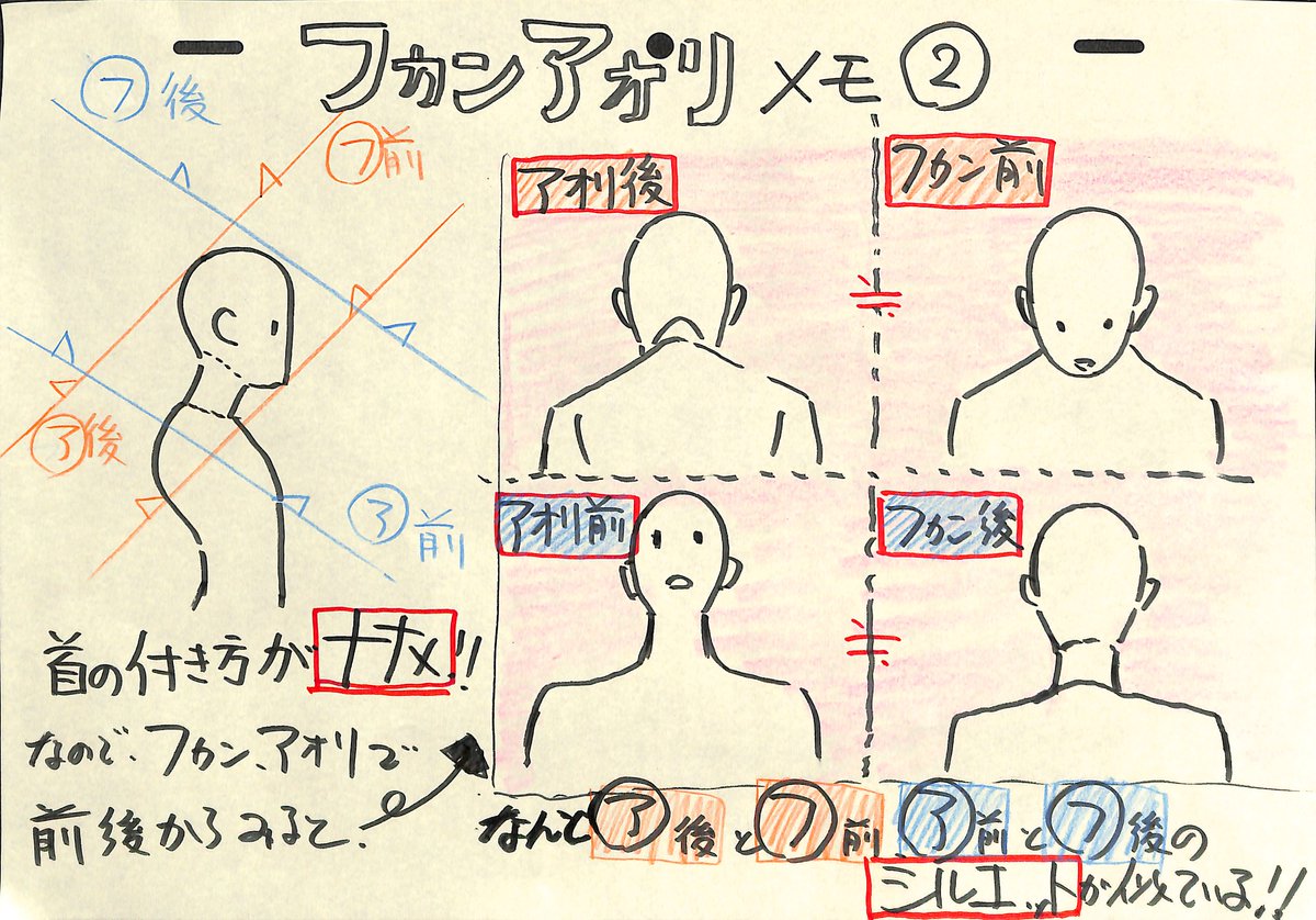 アニメ私塾 アオリ フカン関連ノウハウです 首は斜めについているので アオリから見ると肩首の隙間は広く見える フカンから見ると頭と肩が重なる また後ろから見るとこれらの逆のことが言える などアオリ 俯瞰に見える基本の話をおさえ