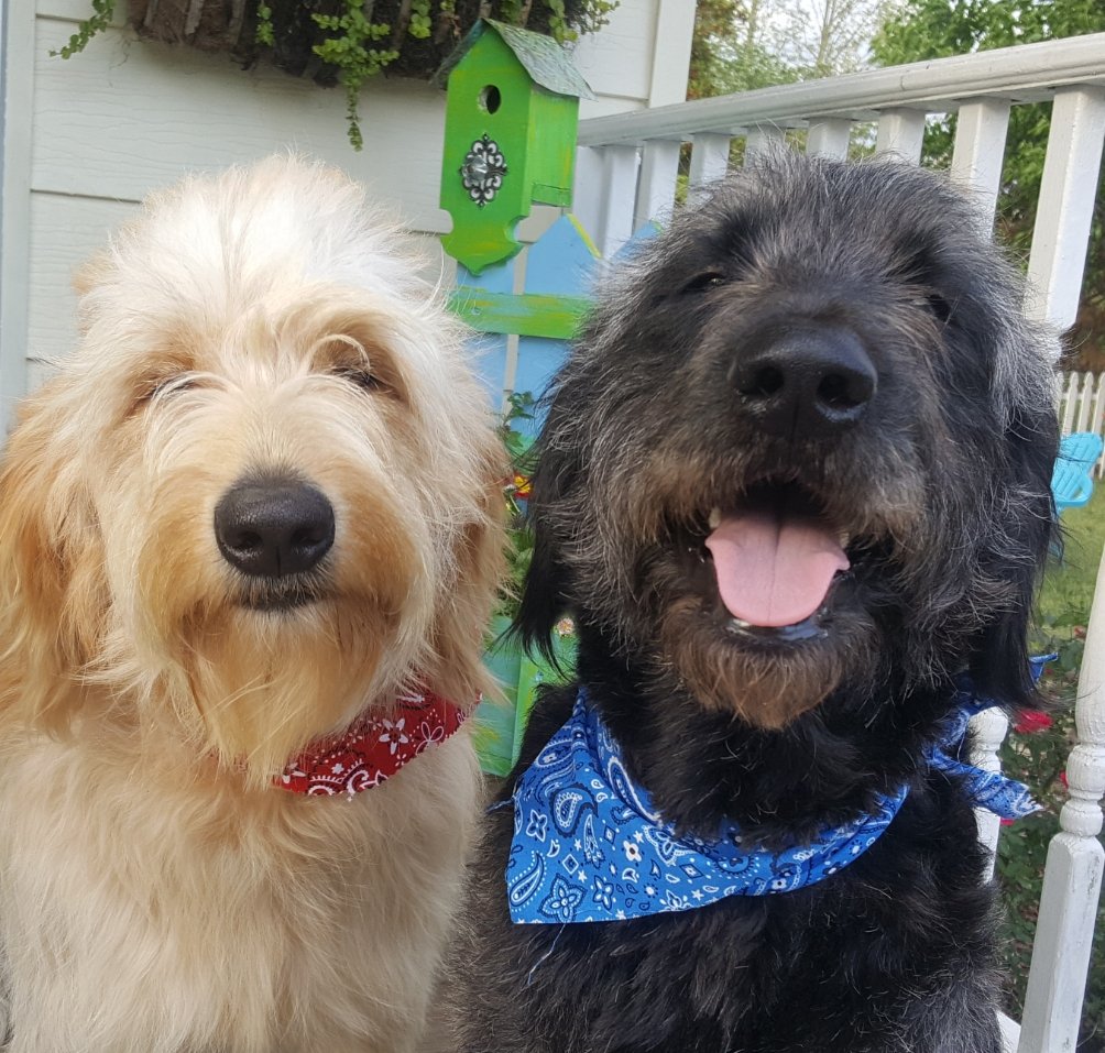 Dales Gallery tweet media