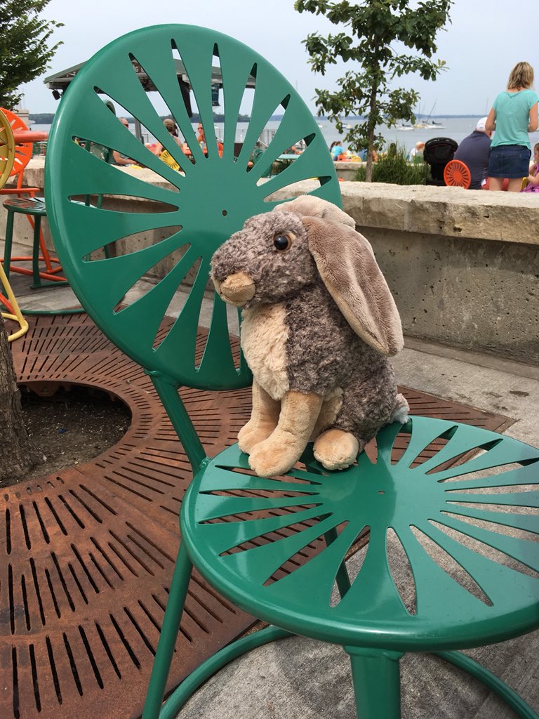 MauraOBrien61's tweet photo. TR loved these chairs @buds2tall #UWTerrace https://t.co/79dFDfDHhV